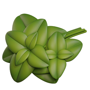 Albahaca