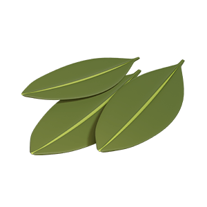 Laurel — Veggideas